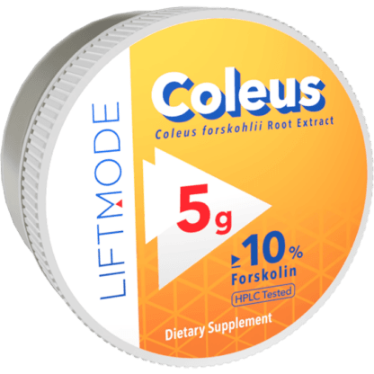 Coleus forskohlii Extract Powder - 5g